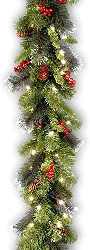 National Tree Company Pre-Lit Artificial Christmas Garland, Green, Crestwood Spruce, White Lights... | Amazon (US)