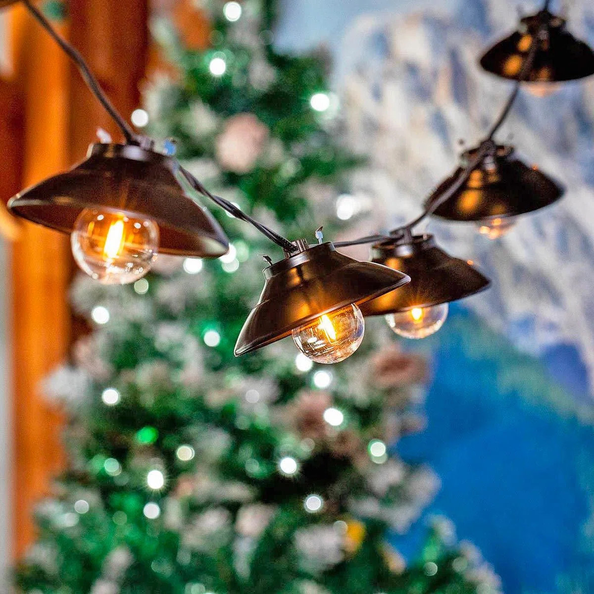 Doyne Outdoor 10 - Bulb 11'' Plug-in LED Globe String Light | Wayfair North America