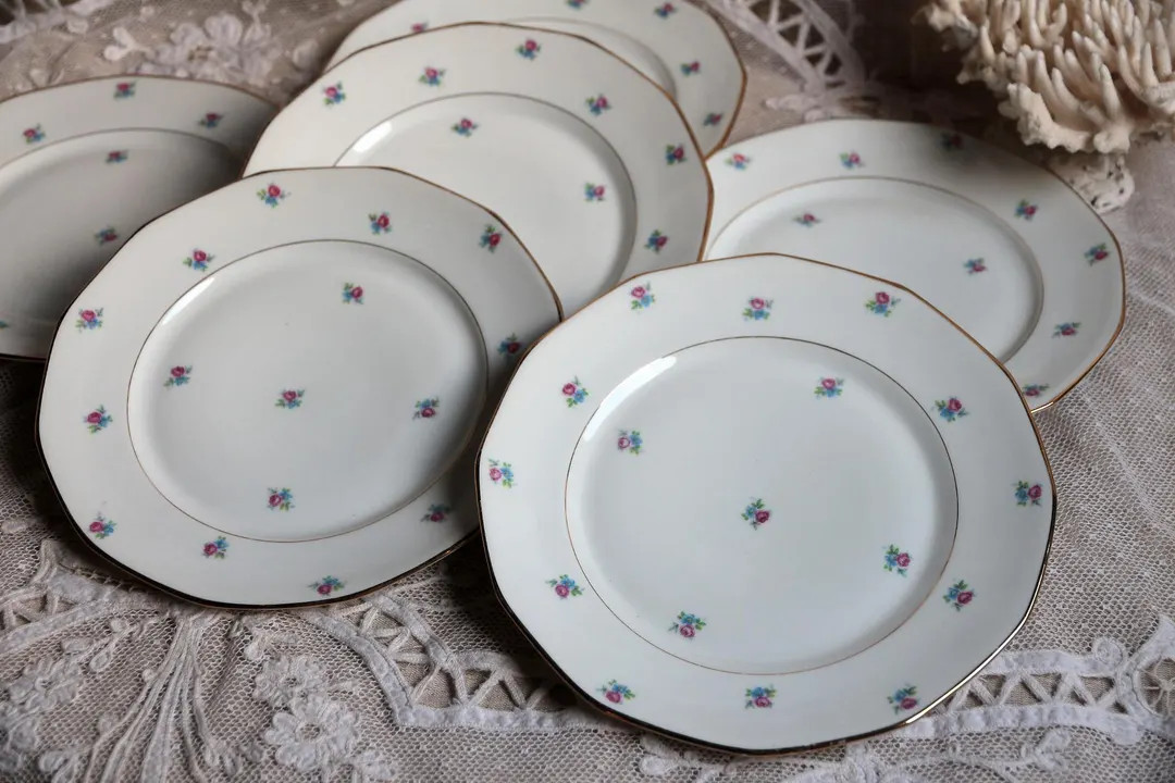 Ensemble de 6 assiettes vintage en porcelaine de Limoges. Petites assiettes fines délicates fleu... | Etsy (US)