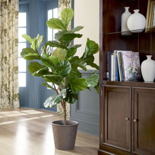 Bunny Williams Faux Fiddle Leaf Fig Tree | Ballard Designs, Inc.