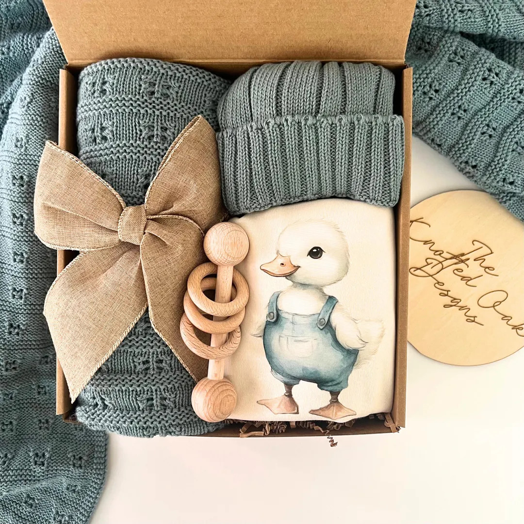 Baby Boy Gift, Newborn Baby Boy Gift, Baby Goose Blue Gift Set - Etsy | Etsy (US)