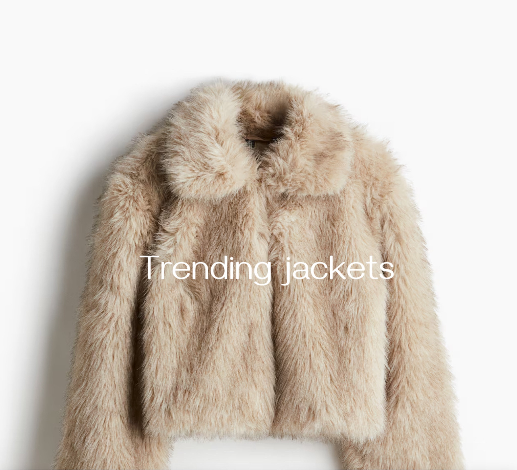 Trending + best selling winter jackets & coats 
Gift guide ideas for Christmas! 
Holiday finds 
Faux fur jackets 
Sale alert 

#LTKStyleTip #LTKHoliday #LTKGiftGuide