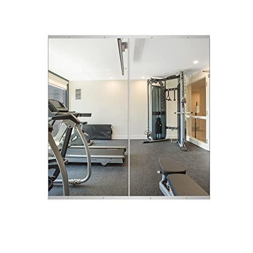 Delma Home Gym Mirror,48''x24''x2PCS Silver,Large Full Body Tempered Glass Frameless, Wall-Mounted for Gym, Yoga, Garage, Bedroom, Bathroom | Amazon (US)