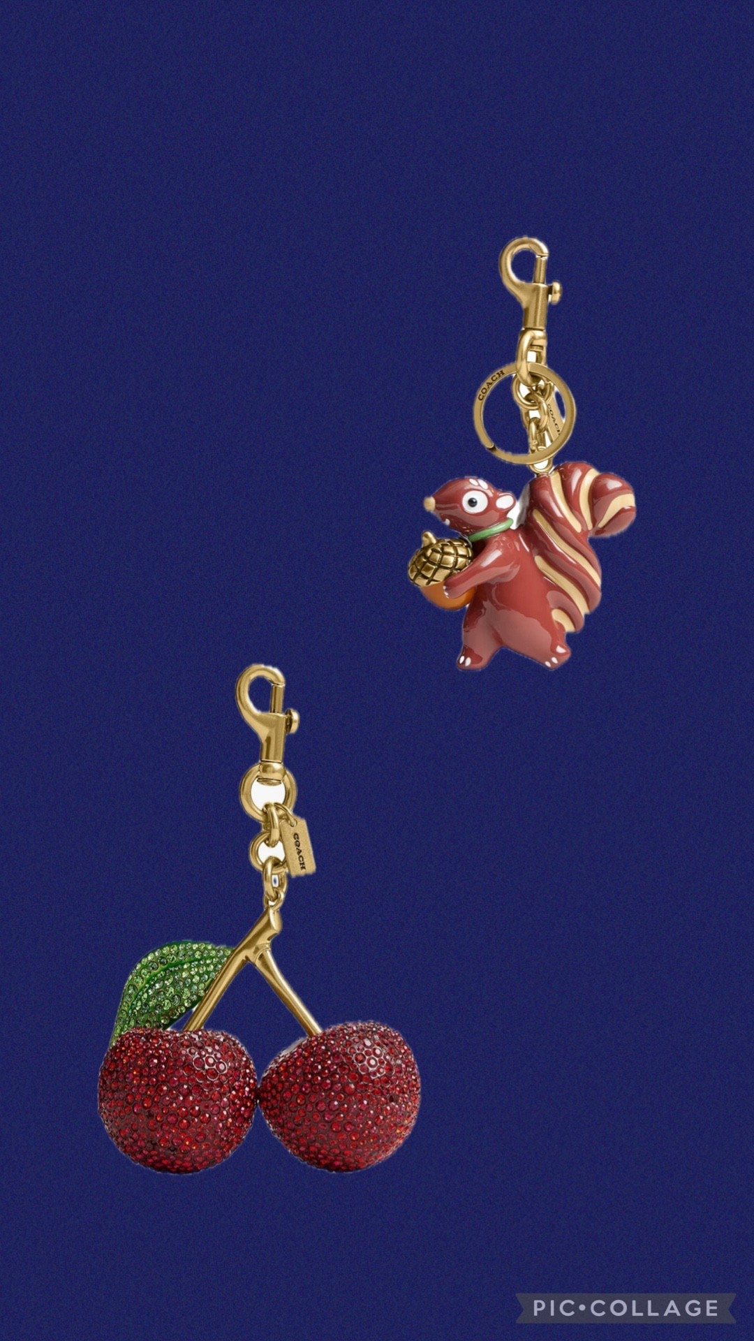 Bag charm updates! The large cherry is on sale for $150! And the new squirrel bag charm is available to buy! 

#LTKSeasonal #LTKSpringSale