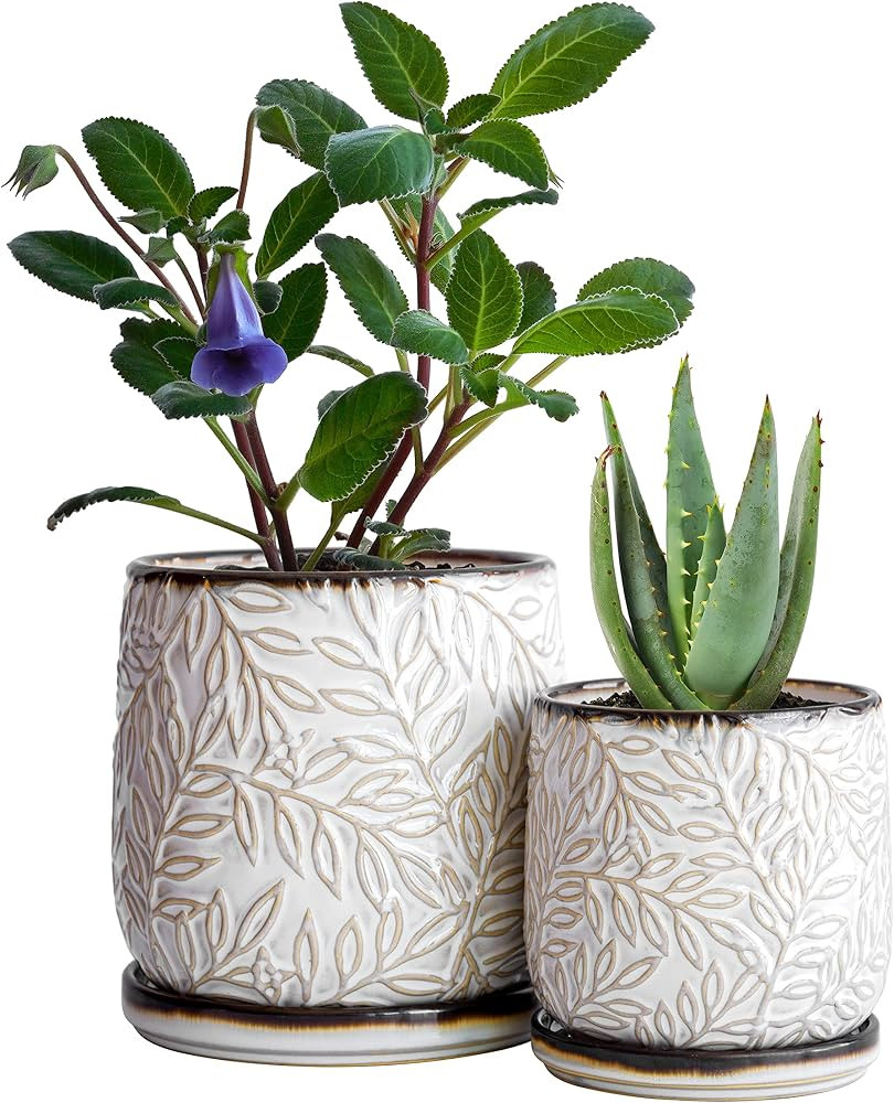 D'vine Dev Embossed Leaves Design 4 Inch & 6 Inch Stoneware Planter Pot with Drainage Hole and Sa... | Amazon (US)