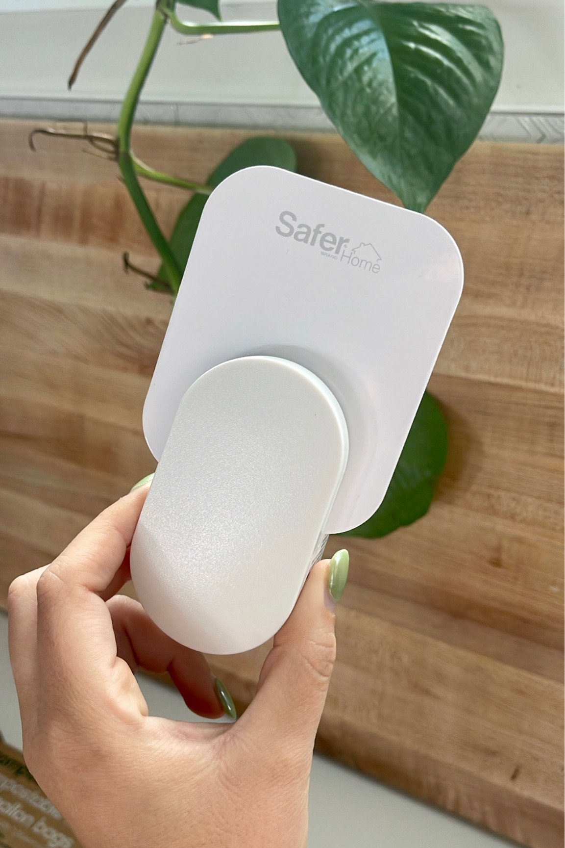 non-toxic bug trap for fruit flies and other bugs! 

#LTKhome #LTKxPrime #LTKfindsunder50