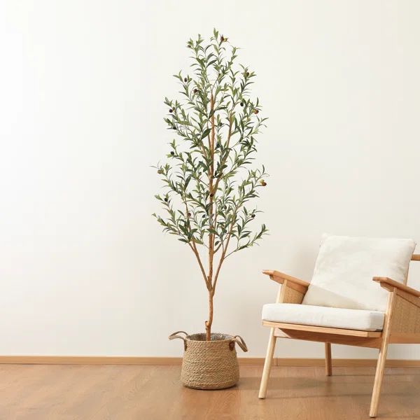 Adcock Faux Olive Tree Tree in Pot | Wayfair North America