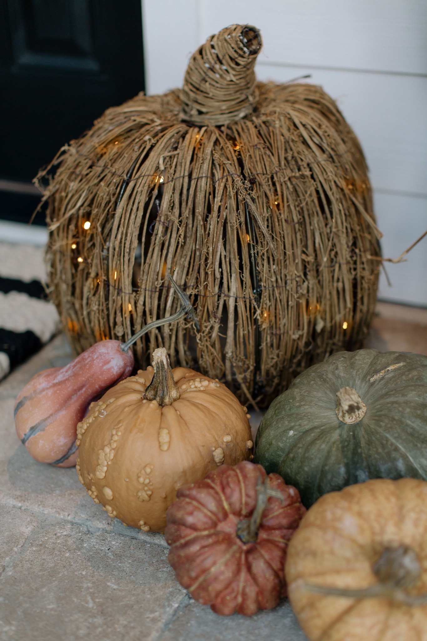 Pumpkins and gourds 🍂

#LTKSeasonal