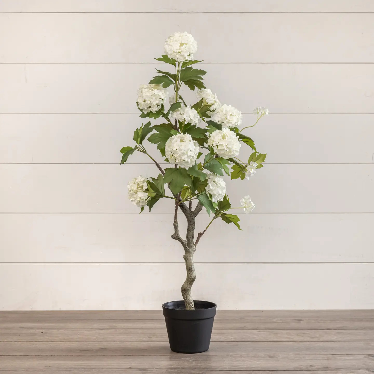 Faux White Hydrangea Tree | Cottage and Key