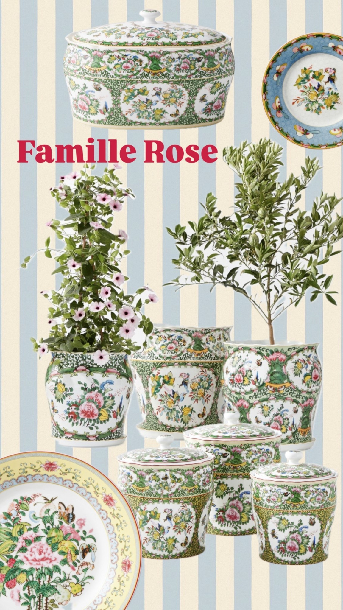 Famille rose dinnerware & more 💐

#LTKSeasonal #LTKHome