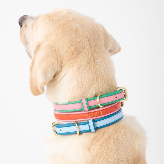 Two-Color Leather Dog Collar | Mark and Graham