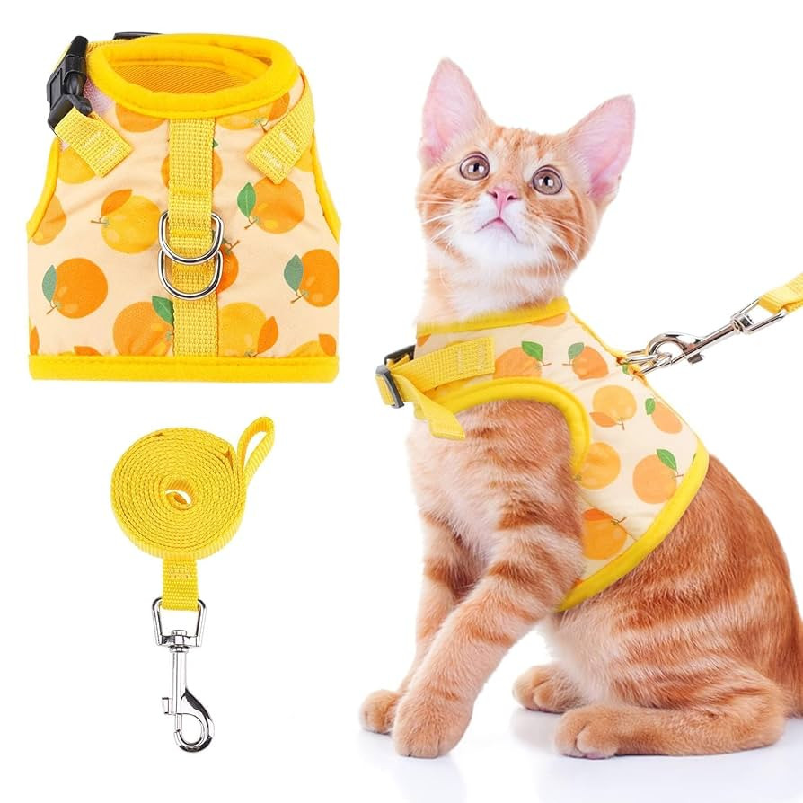 BINGPET Cat Harness with Leash Escape Proof - Fashionable Mesh Cat Dog Walking Harness Leads, Adj... | Amazon (US)