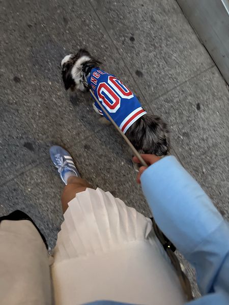 NY Rangers pet jersey, dog jersey, blue button down, pleased tennis skirt 

#LTKStyleTip