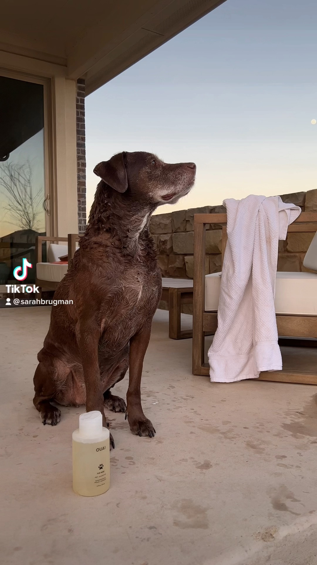 dog shampoo 🧼🐶

#LTKhome #LTKfamily #LTKFind