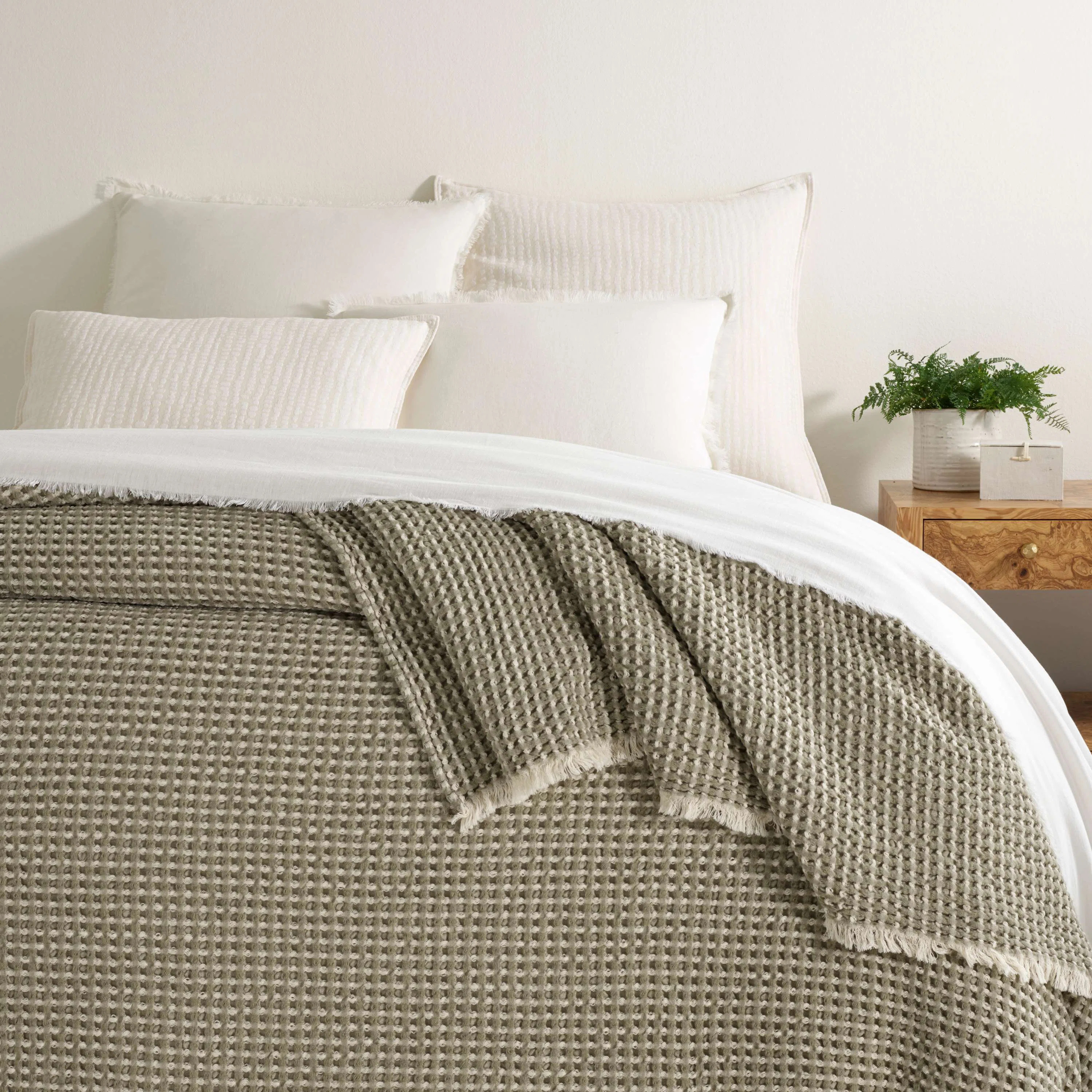 Dorothy Blanket | Wayfair North America