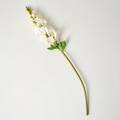 Snapdragon Stem | Magnolia
