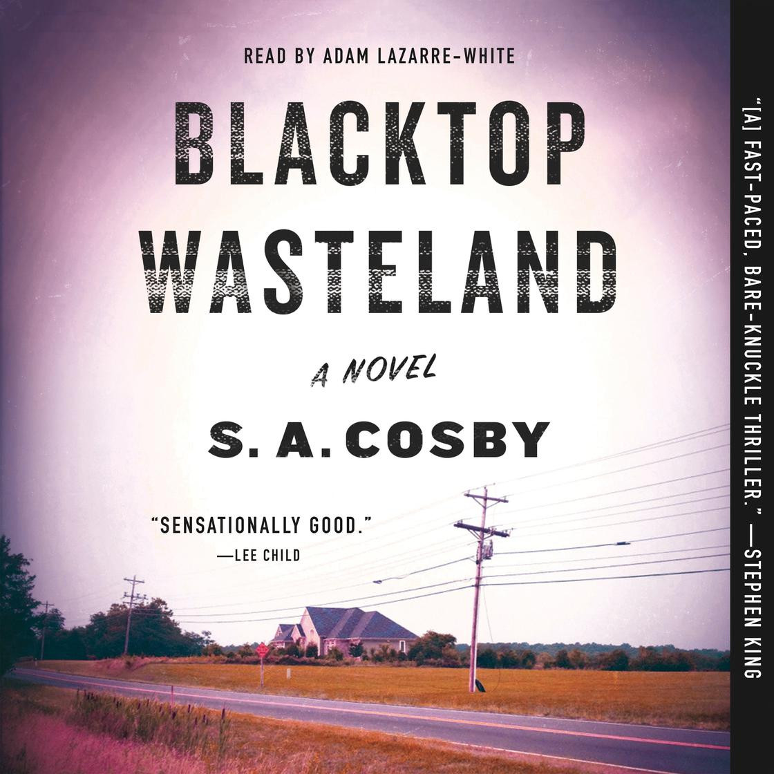 Blacktop Wasteland | Libro.fm (US)