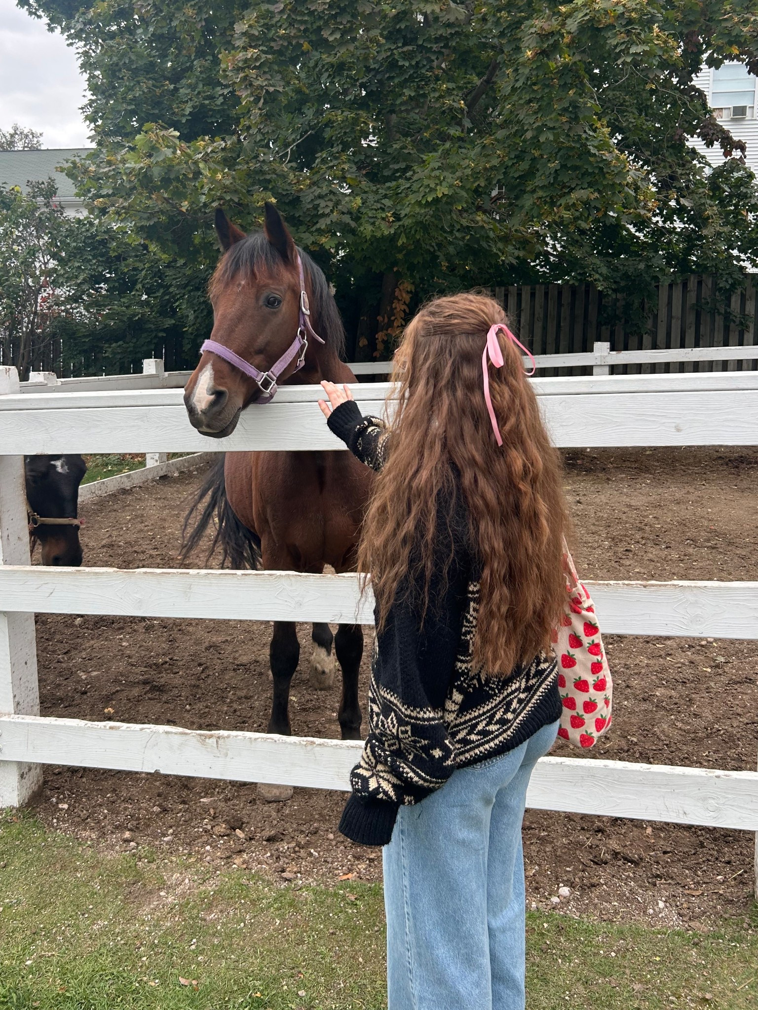 Fall fit 🐴💗🍂

#LTKSeasonal #LTKGiftGuide #LTKPetite