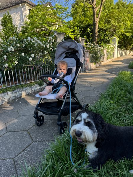 This packable stroller has been a lifesaver now that the Doona days are behind us.  Easy 1 handed operation to get baby in and put it away. #ltkbaby #ltkfamily #stroller 