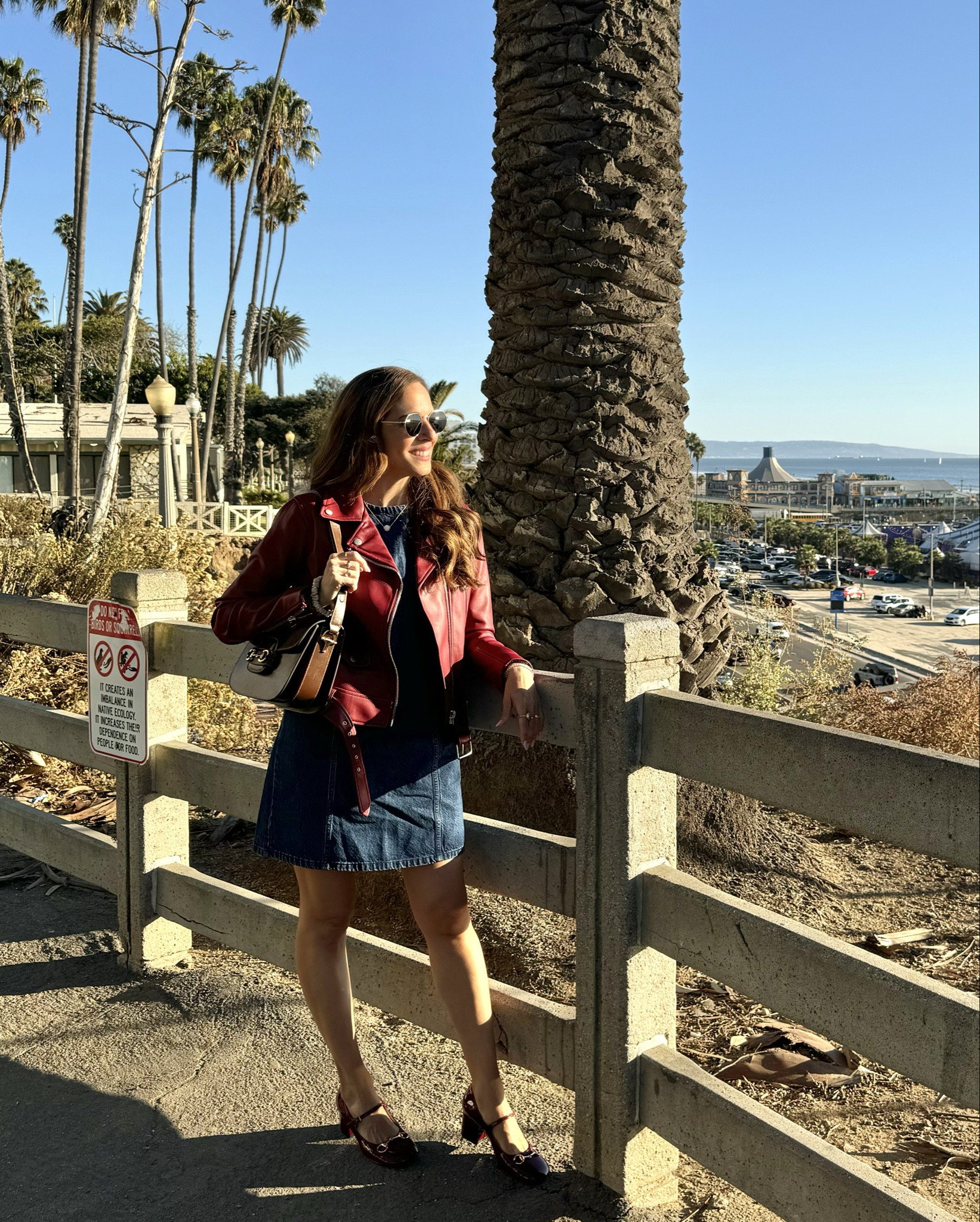 My look worn in Santa Monica while in LA is linked here. My horsebit detail bag in chocolate brown is my fave. I’m also loving burgundy and my vegan leather jacket and matching mary Jane heels dress finish the look!

#LTKItBag #LTKShoeCrush #LTKStyleTip