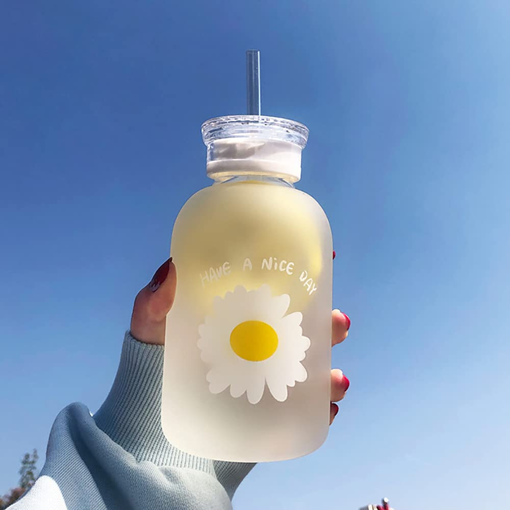 480ml Milk Juice Cute Water Bottle with Scale 2 Lids Little daisy Matte Portable Transparent Wate... | Amazon (US)