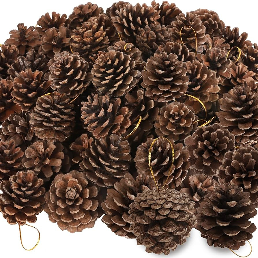 50 Pack Pine Cones, 1.96 Inches Natural Pinecone Ornaments, Pine Cones for Crafts, Rustic Pinecon... | Amazon (US)
