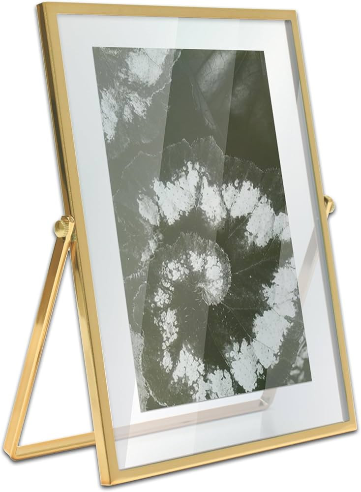 MIMOSA MOMENTS Brass Metal Floating 5x7 Picture Frame | Amazon (US)
