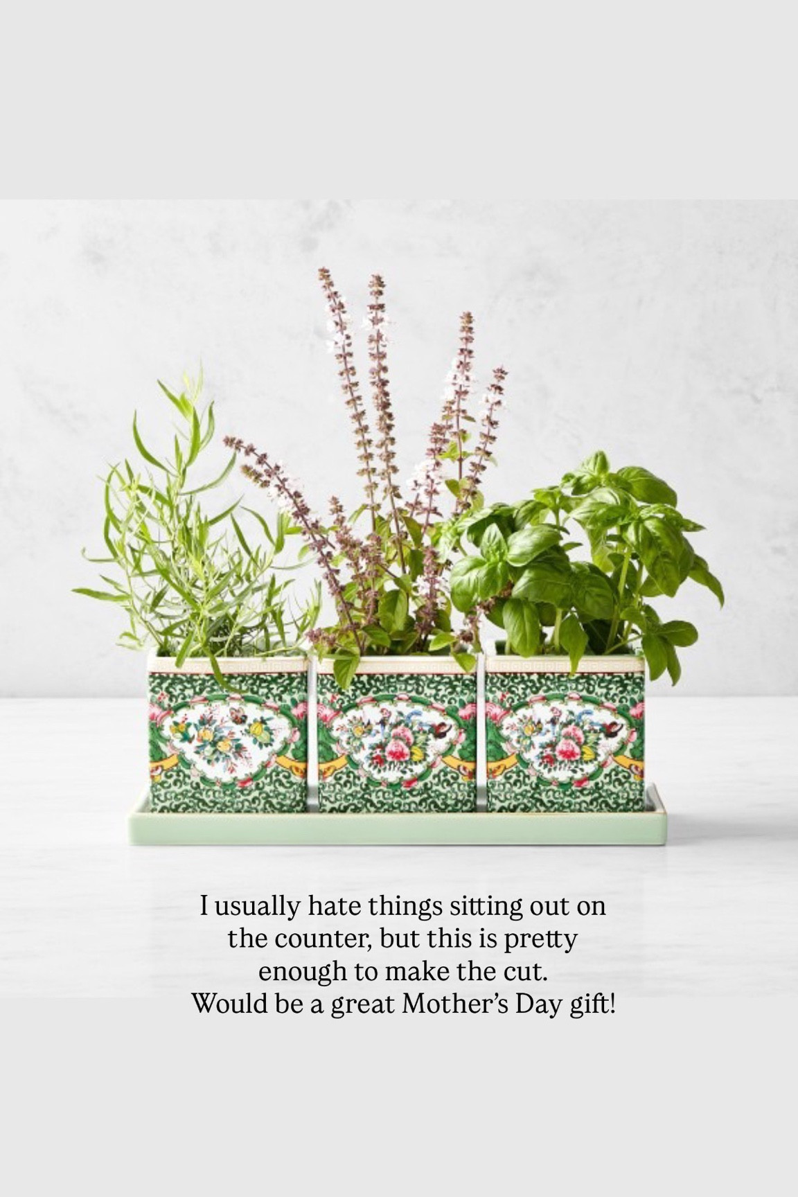 If you need a Mother’s Day gift, this is it! I normally don’t love things laying out on the counter, but this planter is so pretty! Would be great for your mother or mother-in-law, or someone who you feel like has it all!

#LTKMothersDay