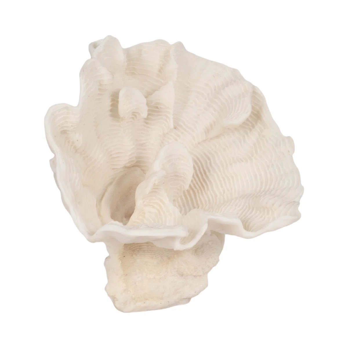 12" Polyresin Coral Fan Decor, Ivory | Wayfair North America