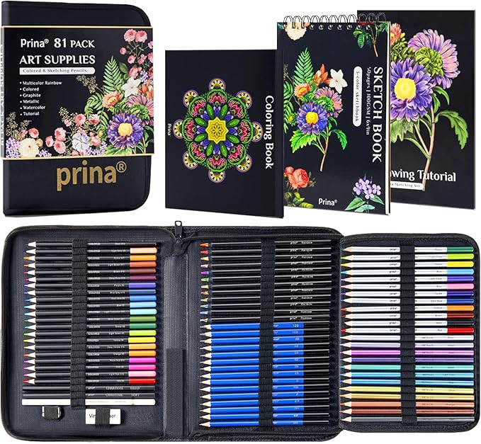 PRINA 81 Drawing Set Sketching Kit, Pro Sketch Pencils Art Supplies with Rainbow, Colored, Graphi... | Amazon (US)