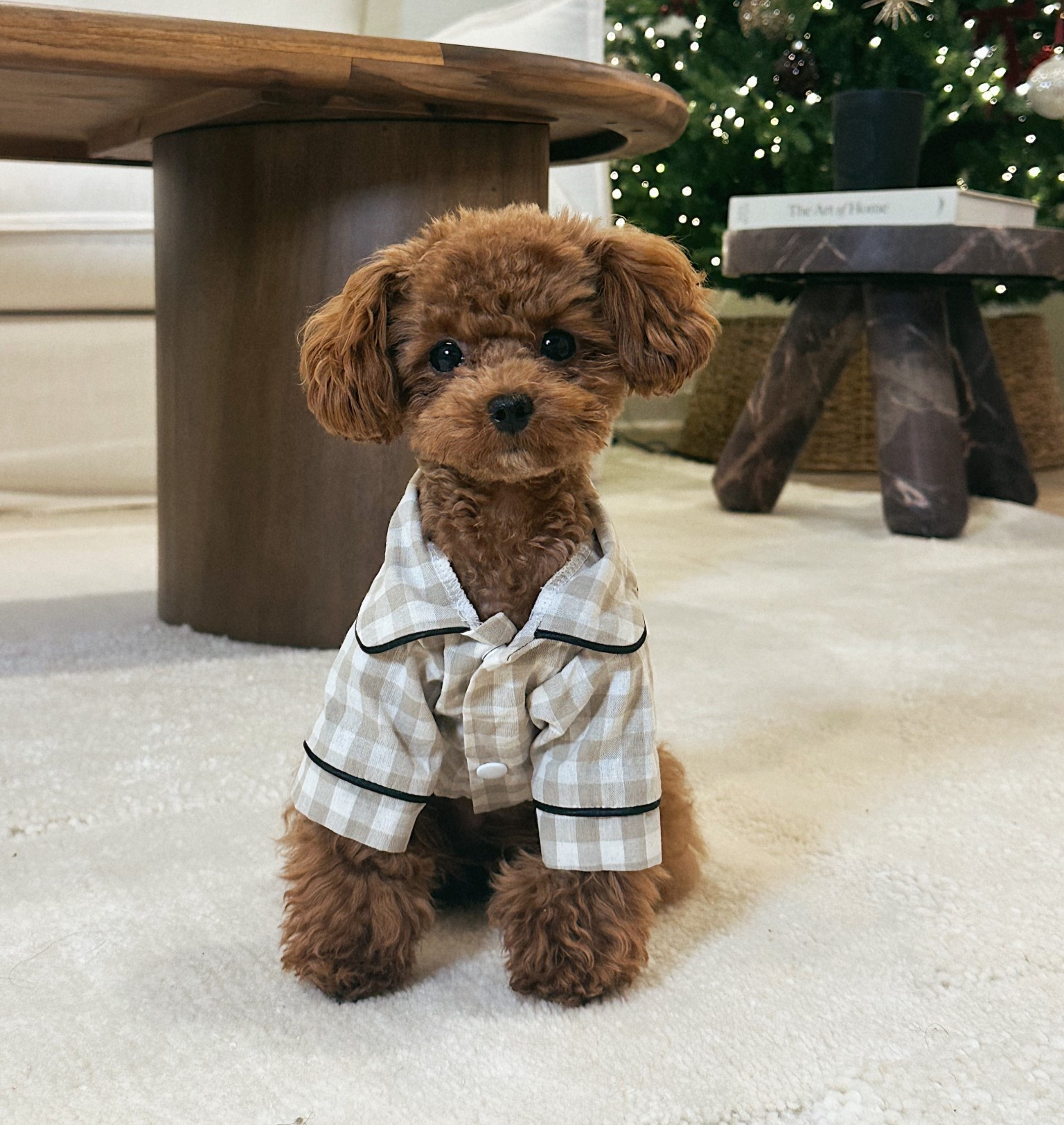 The cutest dog pajamas for your tiny fur baby 🤎

#LTKBaby #LTKdayinmylife #LTKootd