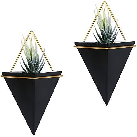 Scwhousi 2 Set Black Metal Hanging Planter Wall Decor Geometric Succulent Planter Indoor(Plants N... | Amazon (US)