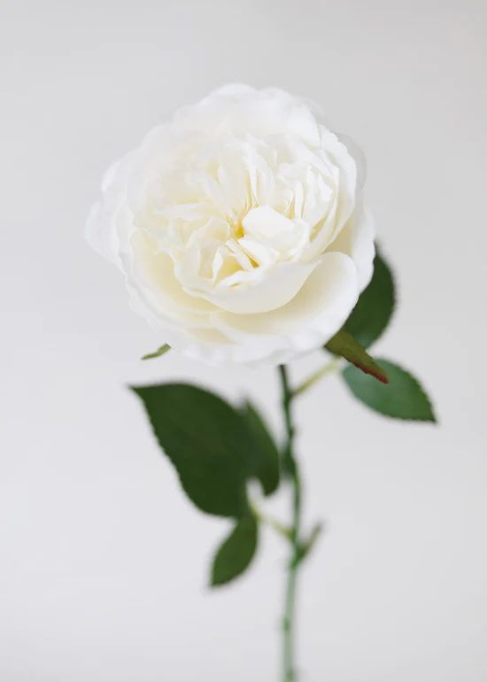 White English Cabbage Artificial Rose - 20.5 | Afloral