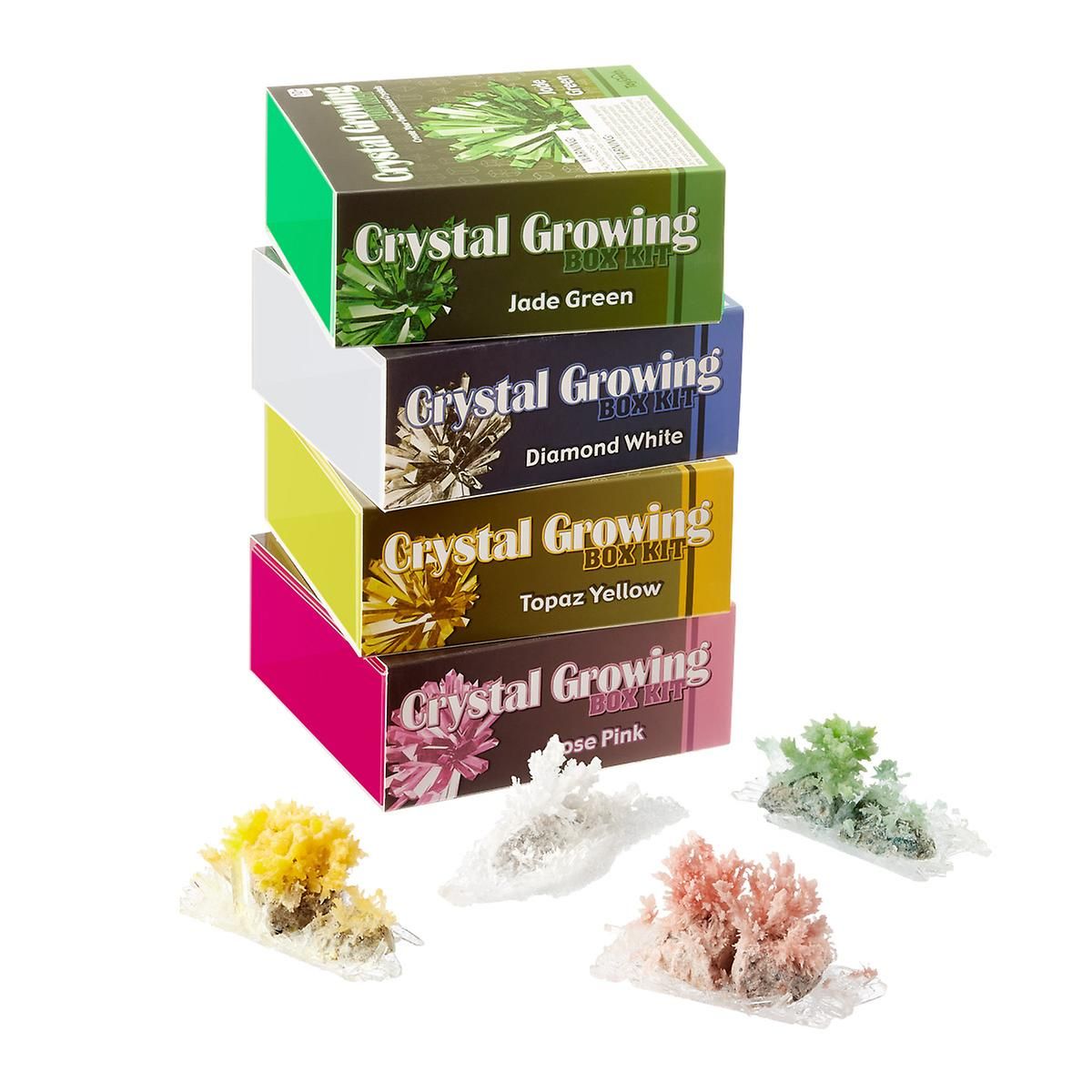 Crystal Growing Box Kit | The Container Store