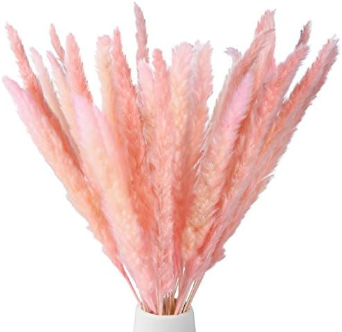 Omldggr 20 Pieces Natural Dried Pampas Grass Natural Dried Flowers Dried Reed Grass for Home Gard... | Amazon (US)