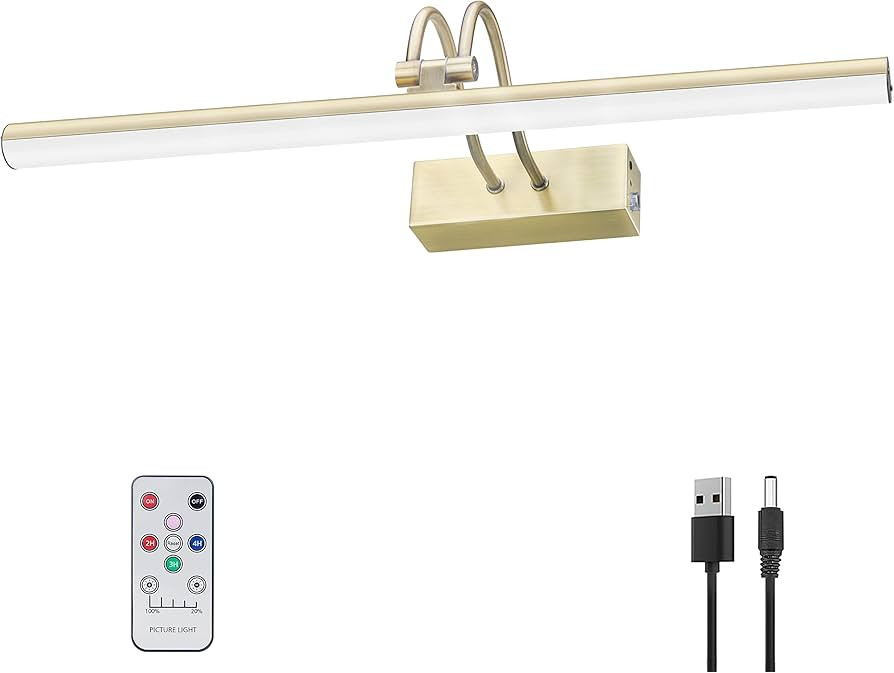 Picture Light,16in Battery Picture Lights for Paintings,Full Metal Display Art Light with Timer a... | Amazon (US)