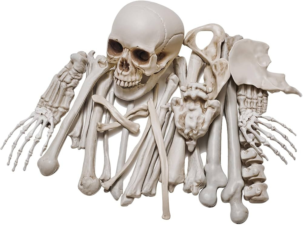 28 Pieces Life Size Skeleton Bones Halloween Decorations Outdoor Indoor, Bag of Fake Plastic Huma... | Amazon (US)
