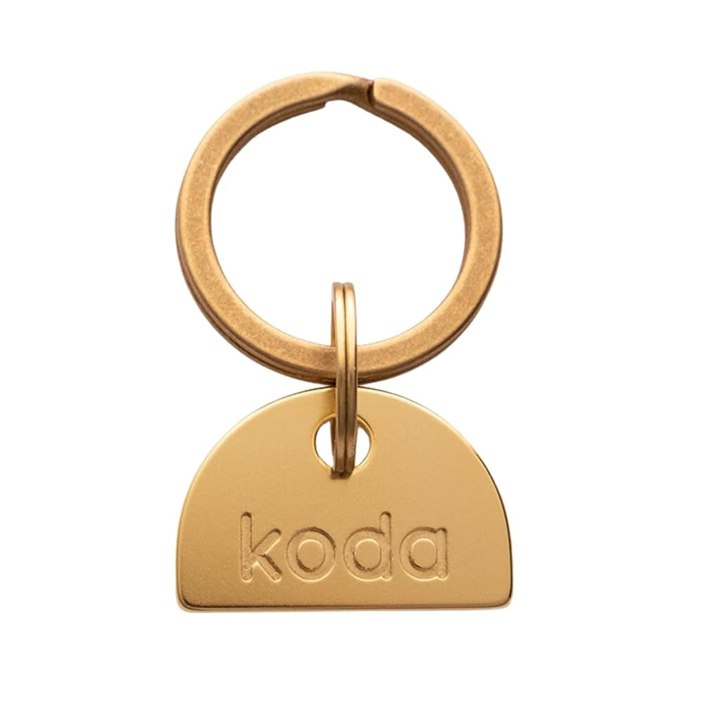 SOLID BRASS PET TAG - Modern, Minimal Pet IDs. Durable, Lifetime tags with deep cut text. Include... | Amazon (US)
