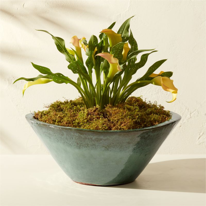 Favana Green Reactive Glazed Ceramic Indoor/Outdoor Planter Bowl Small | CB2 | CB2
