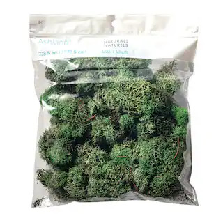 Ashland® Reindeer Moss | Michaels Stores