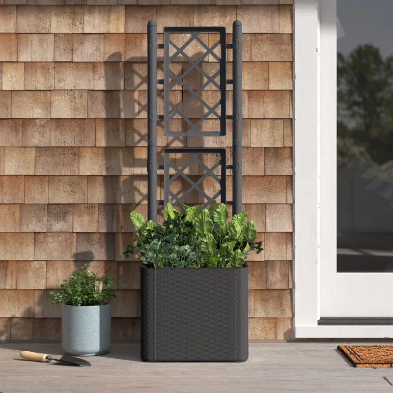 Lucea Self-Watering Plastic Planter Box with Trellis | Wayfair North America