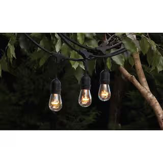 Hampton Bay 12-Light 24 ft. Black Indoor/Outdoor Commercial Incandescent Edison String Light GLS-... | The Home Depot