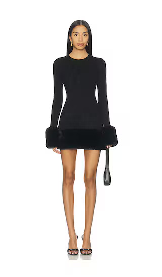 Drescher Mini Dress in Black | Revolve Clothing (Global)
