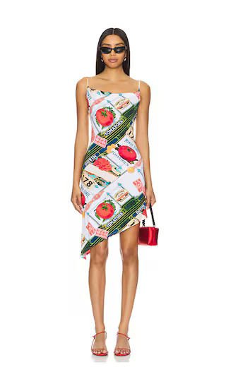 Helga Dress in Figaro Print | Revolve Clothing (Global)