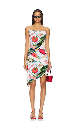 Helga Dress in Figaro Print | Revolve Clothing (Global)