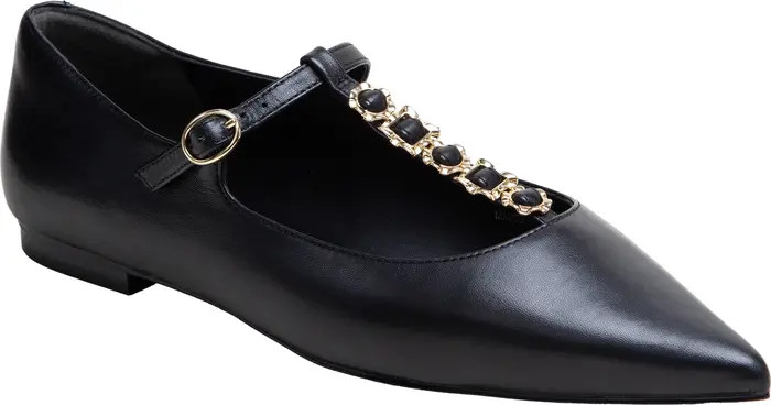 Corinne Pointed Toe T-Strap Flat (Women) | Nordstrom