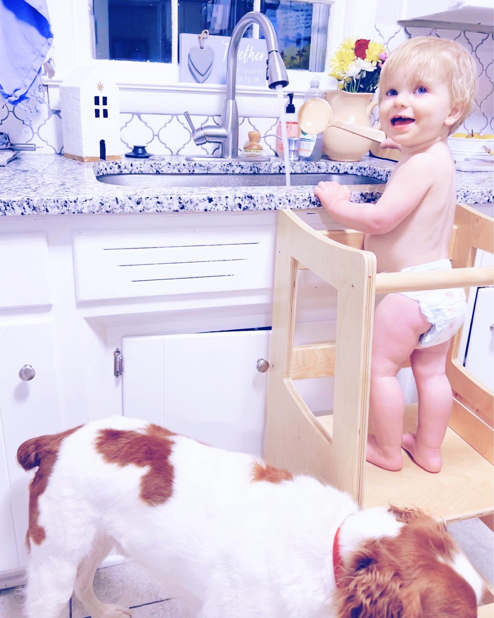 Starting the new year off savoring these sweet sweet memories with my little family 🫶🏽🤍 - these truly are the days I will always remember !!! 🥹✨ I love being a wifey and mommy!! 👼🏼🙏🏽 #thesearethedays #savoringeverymoment 

We started out the new year organizing, cleaning, and sorting through the ENTIRE house and it felt sooo goooddddd!!! 🧹🙌🏽 And then we celebrated with some time out in the beautiful weather (when the sun finally came out)☀️🤩 and hanging up some new wall pictures and canvases in our home! 🖼️🤗 “Dada” left a few days ago to take the @bsfbc_cya students to the @passion268 conference (little love muffin and I have had some sweet “mommy-Judson” time while he’s been gone - he truly is my tiny boyfriend 🥹 - and also listening to so many of the awesome Passion Conference messages online - what a worddddd 🔥) and we are so excited to give “Dada” lots of hugs when he comes home tonight! Excited and expectant for this new year ahead and all that the Lord has in store for our family as we savor these precious days!! 🏡🥰 #happyfridayeve #happynewyear2023

…

#emilysayswes #judsoncarpentermabry #nineteenmonthsold #nineteenmonthold #nineteenmontholdbaby #nineteenmontholdboy #judsonmonthbymonth #sweetjudson #oursweetboy #oneyearold #oneyearoldbaby #oneyearoldbabyboy #oneyearoldboy #gratefulmotherhood #thankyoulord #mysweetboys #januarymemories #happynewyear #hello2023 #liketkit #LTKbaby #LTKhome #ltkfamily 

#LTKhome #LTKbaby #LTKfamily