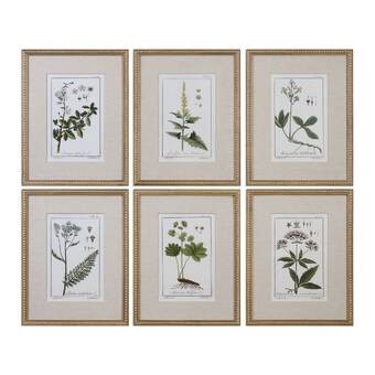 'Floral Botanical Study' 6 Piece Framed Graphic Art Print Set on Wood in Green | Wayfair North America