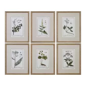 'Floral Botanical Study' 6 Piece Framed Graphic Art Print Set on Wood in Green | Wayfair North America