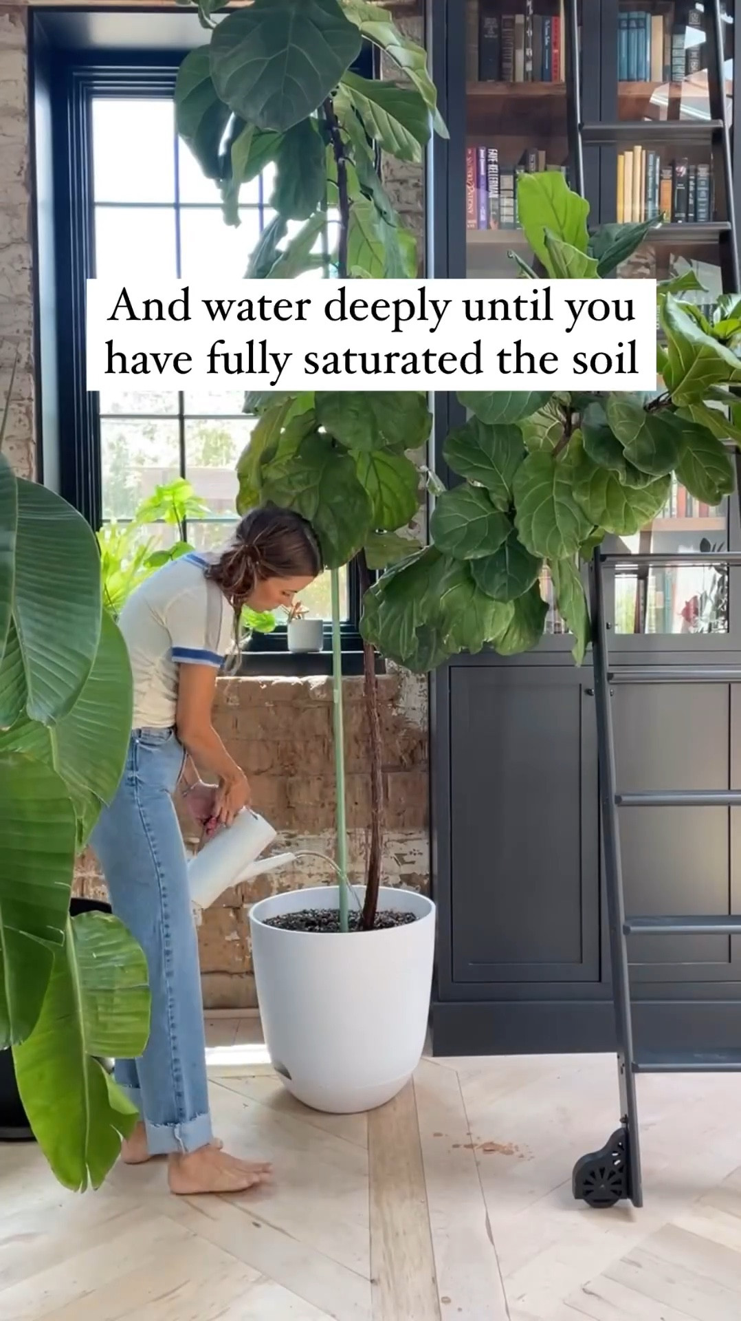This self watering planter from Target makes watering mess free 🙌🏼! All the water drains into a dish that is attached at the bottom. 

#LTKstyletip #LTKhome #LTKSeasonal